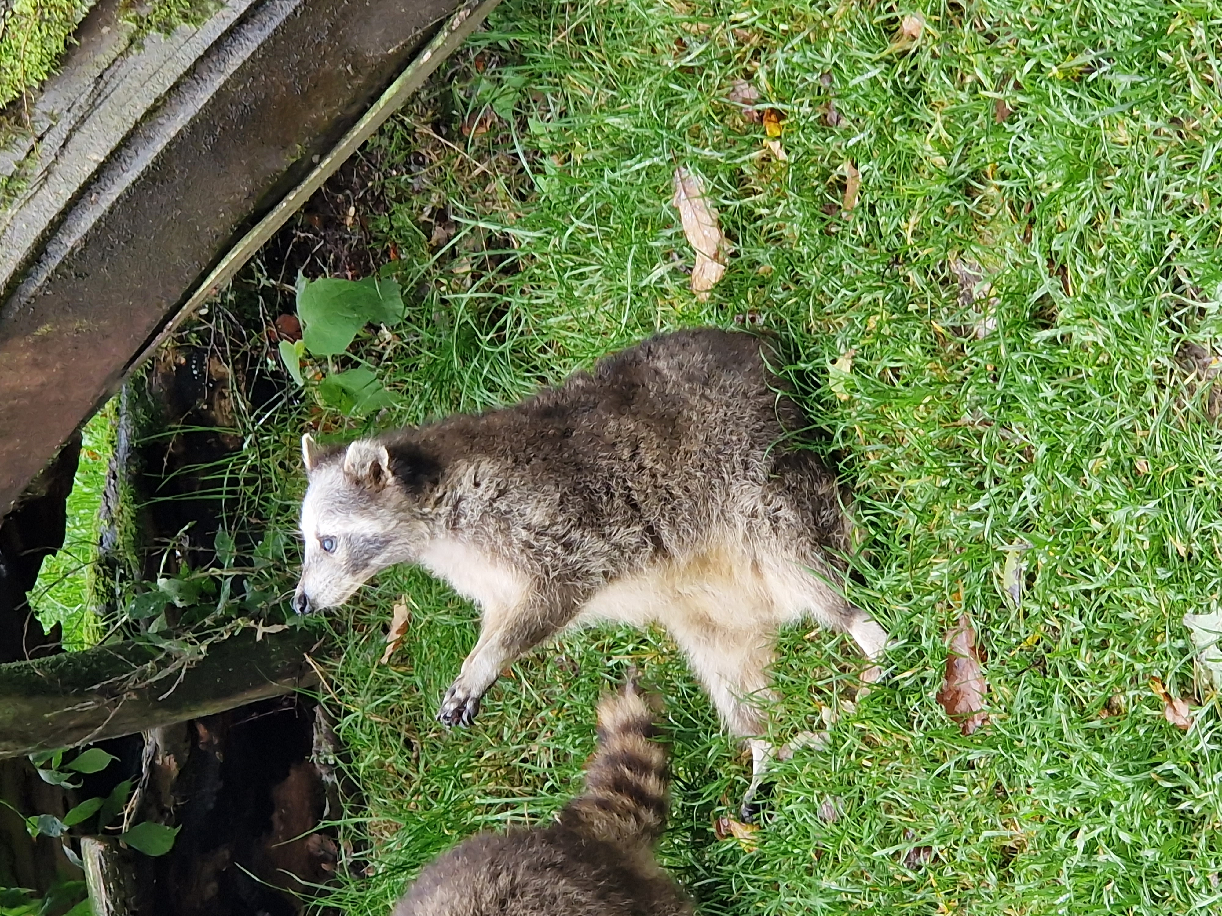 Ausflugsziel: Naturwildpark Freisen