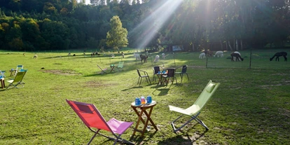 Voyage avec des enfants - Freisen - Saar Alpaka Farm
