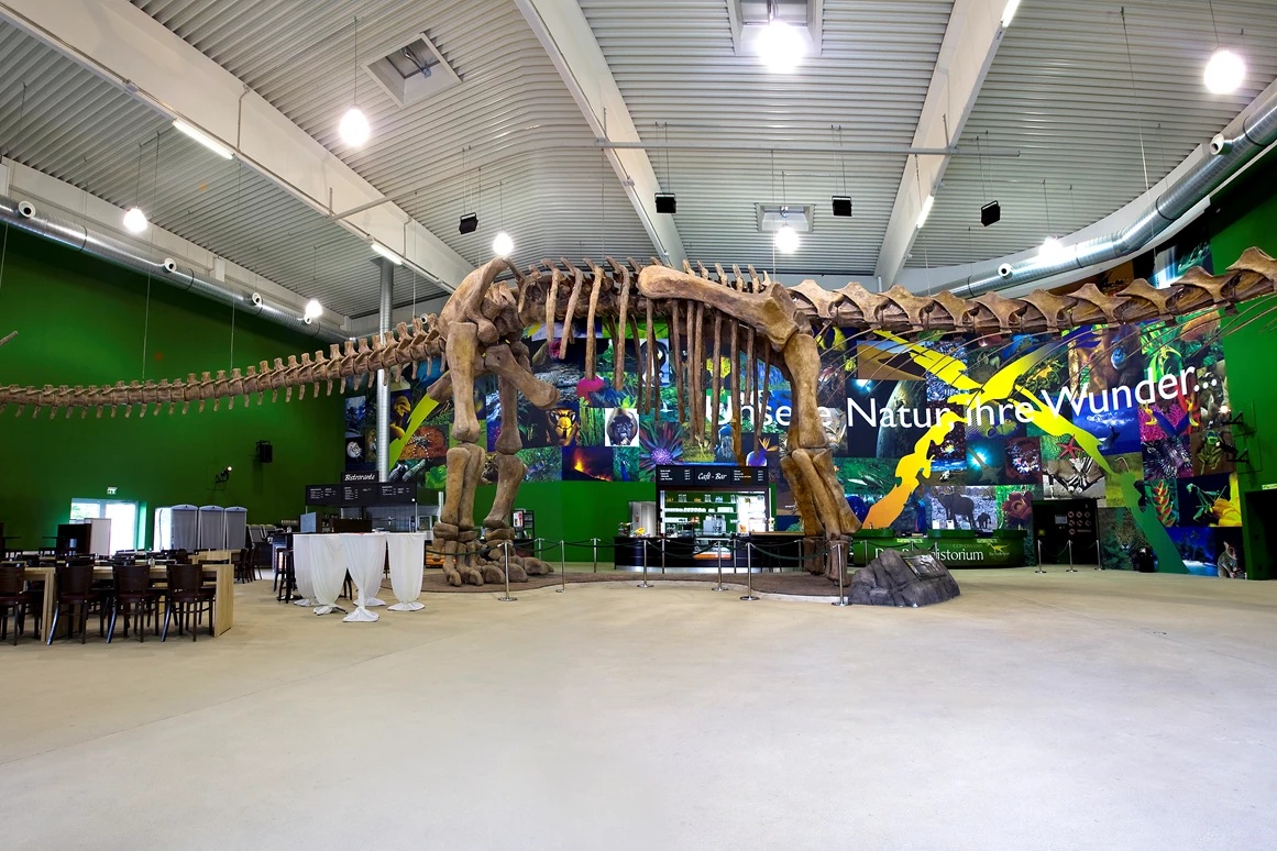 Ausflugsziel: GONDWANA - Das Praehistorium
