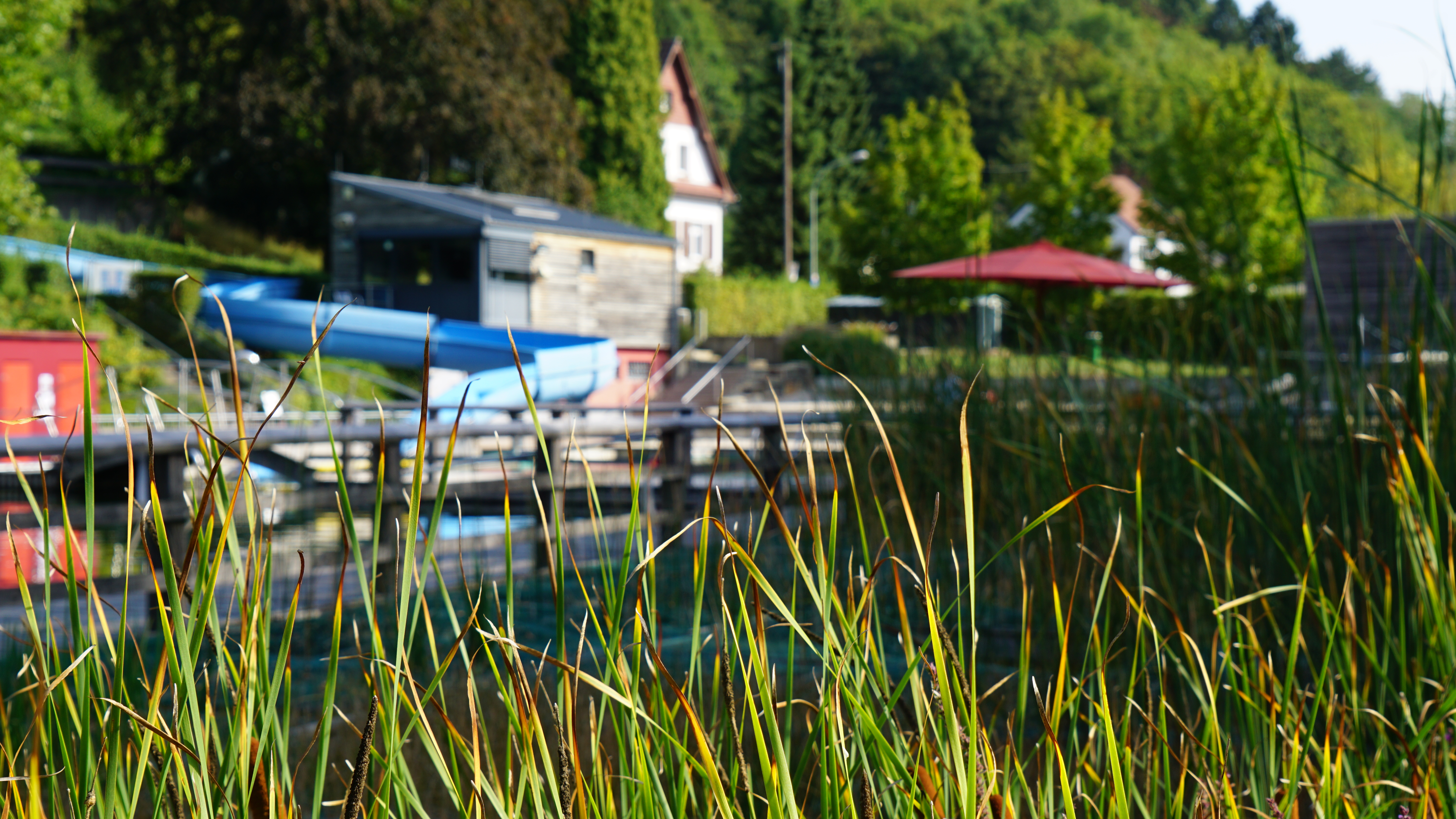 Reis met kinderen - Witterung: Schönwetter - Naturbad Heilborn