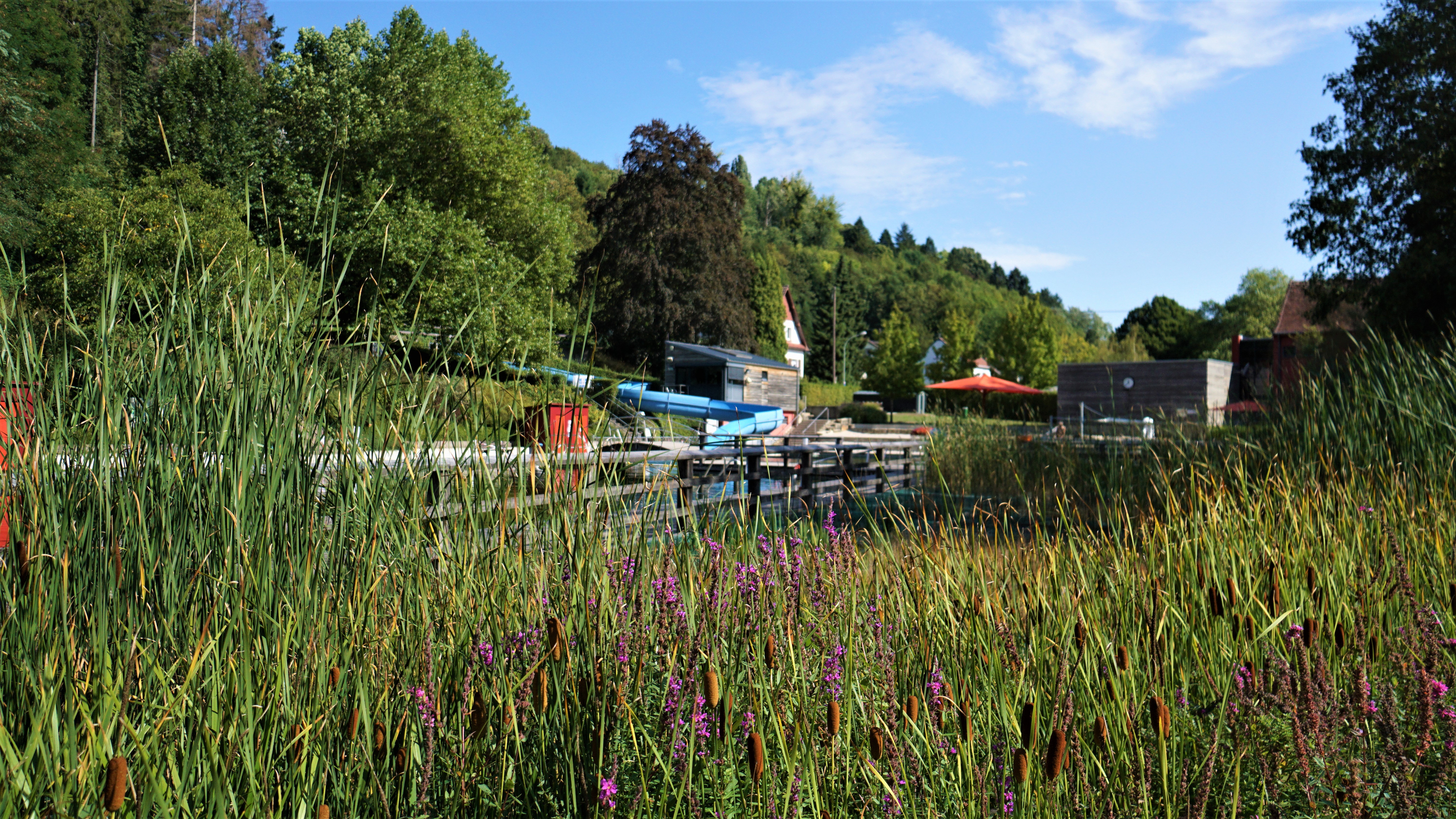 Ausflugsziel: Naturbad Heilborn