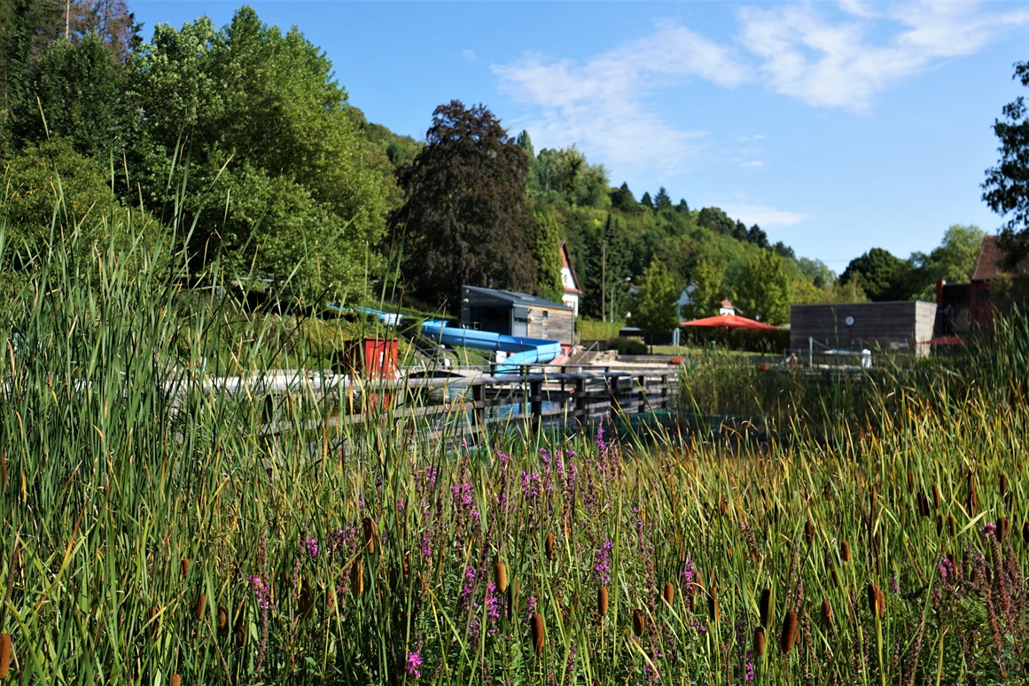 Ausflugsziel: Naturbad Heilborn