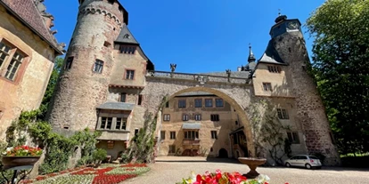 Reis met kinderen - Weilbach (Landkreis Miltenberg) - Schloss Fürstenau