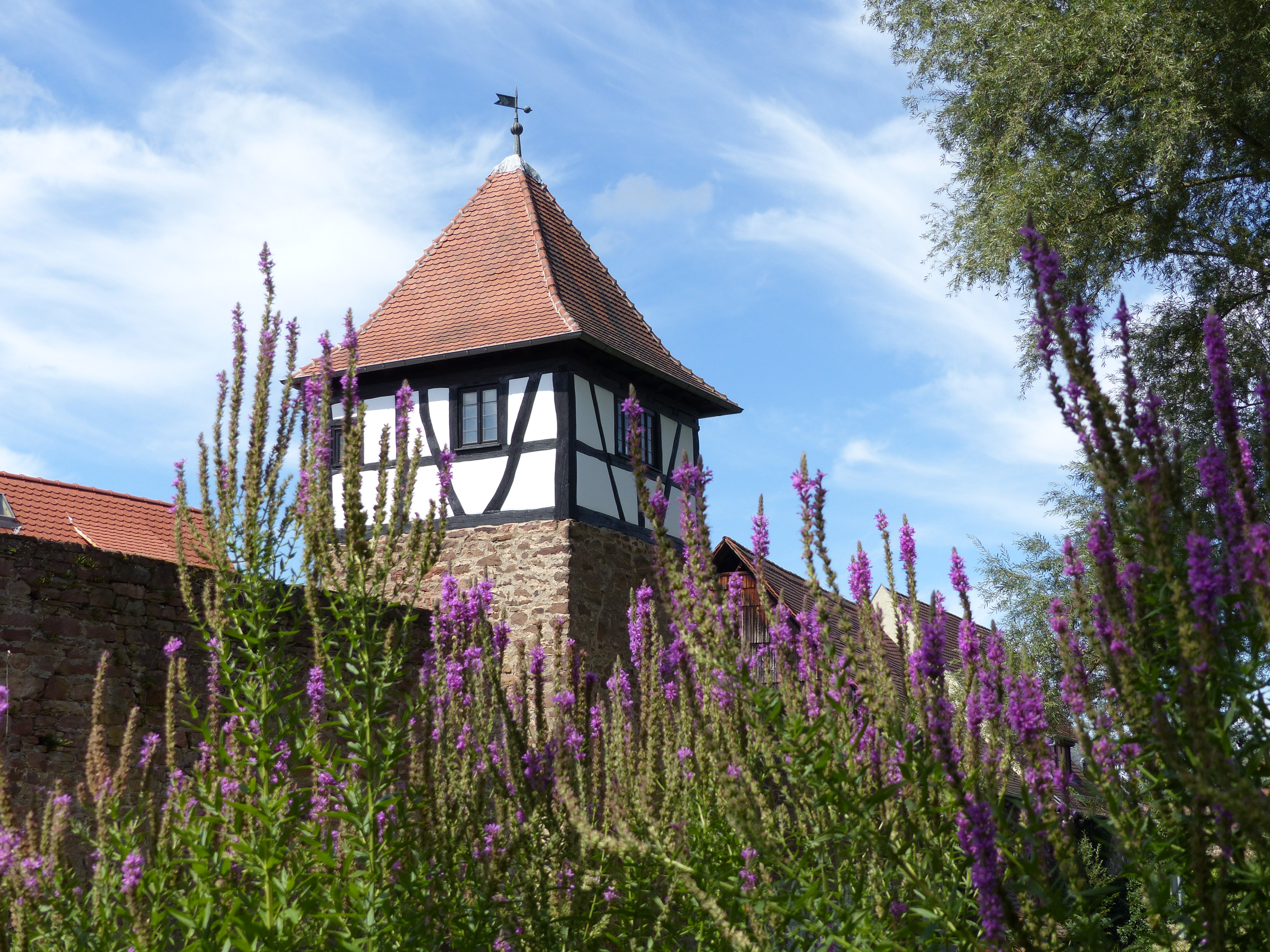 Ausflugsziel: Michelstädter Stadtgarten mit Wasserspielplatz, Bouleplatz, Liegewiese, Bänke, Bachlauf mit Kneipp Möglichkeit