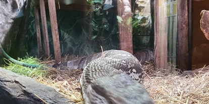 Viaggio con bambini - Felixdorf - Reptilien Zoo