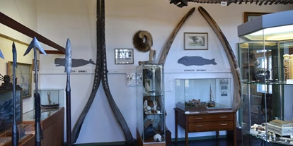 Viaggio con bambini - Region Nordsee-Elbe-Weser - Museum Schloss Schönebeck