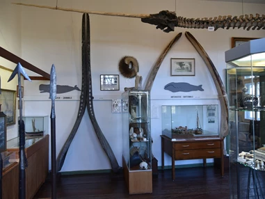 Ausflugsziel: Museum Schloss Schönebeck