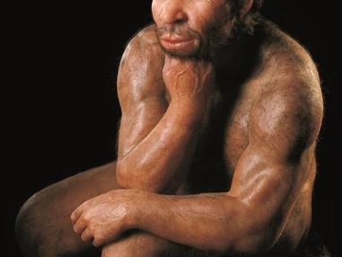 Ausflugsziel: Der denkende Neanderthaler ist Publikumsliebling im Landesmuseum - Landesmuseum für Vorgeschichte