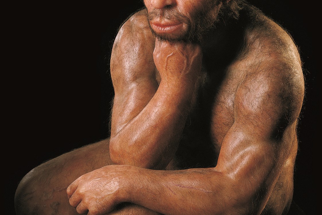 Ausflugsziel: Der denkende Neanderthaler ist Publikumsliebling im Landesmuseum - Landesmuseum für Vorgeschichte