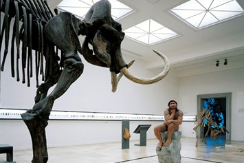 Ausflugsziel: Das Mammut von Pfännerhall - Landesmuseum für Vorgeschichte