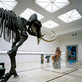 Ausflugsziel: Das Mammut von Pfännerhall - Landesmuseum für Vorgeschichte