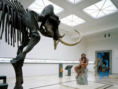 Ausflugsziel: Das Mammut von Pfännerhall - Landesmuseum für Vorgeschichte