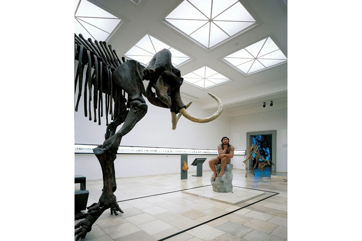 Ausflugsziel: Landesmuseum für Vorgeschichte