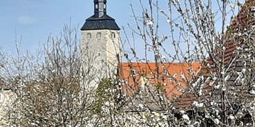 Ausflug mit Kindern - Themenschwerpunkt: Geschichte - Sachsen-Anhalt - Wasserburg Egeln