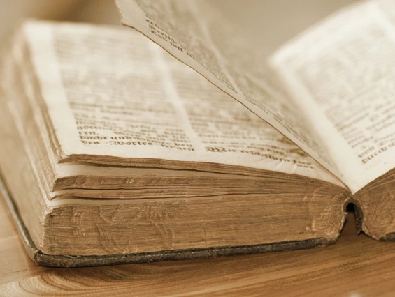 Ausflugsziel: Symbolbild für Ausflugsziel Stiftskirche auf dem Petersberg. Keine korrekte oder ähnlich Darstellung! - Stiftskirche auf dem Petersberg