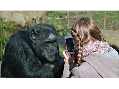 Ausflugsziel: Auf Grund der besonderen Anlagengestaltung kann man vielen Tieren hautnah kommen. - Zoologischer Garten Halle (Bergzoo)