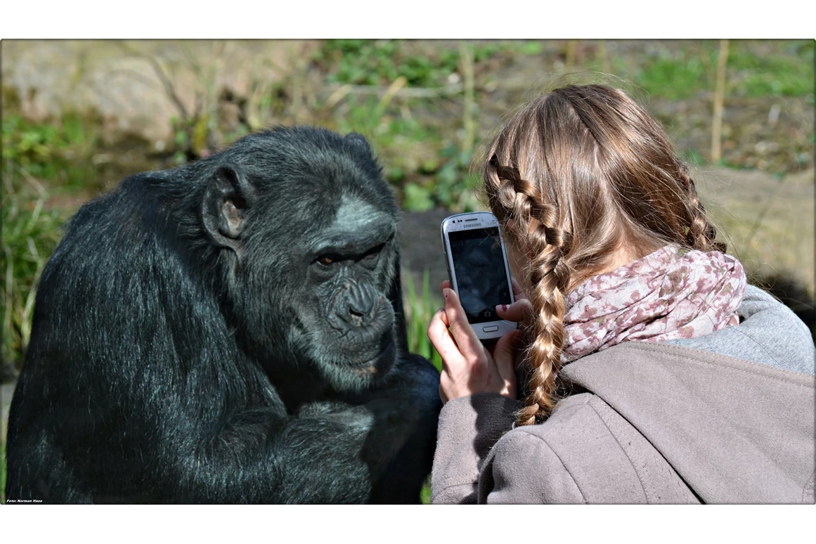 Ausflugsziel: Auf Grund der besonderen Anlagengestaltung kann man vielen Tieren hautnah kommen. - Zoologischer Garten Halle (Bergzoo)