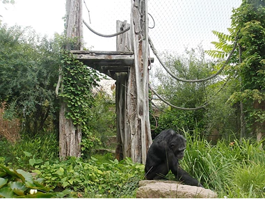 Ausflugsziel: Im Zoo Halle wandert man durch die Lebensräume der Tiere, von den Regenwälder dieser Erde... - Zoologischer Garten Halle (Bergzoo)