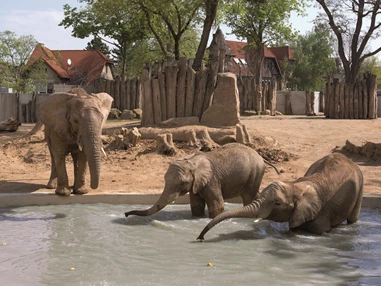 Ausflugsziel: Zoologischer Garten Halle (Bergzoo)