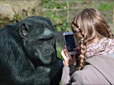Ausflugsziel: Zoologischer Garten Halle (Bergzoo)