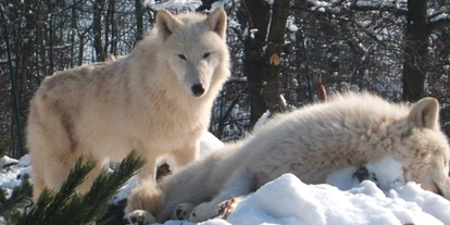Voyage avec des enfants - Leuna - Tierpark Petersberg