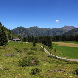 Ausflugsziel: Hirschgrubenalm, 1.564m