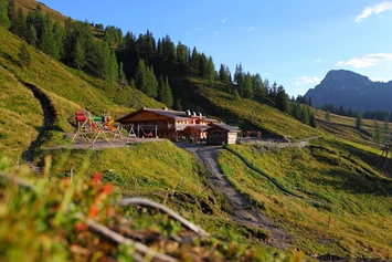 Ausflugsziel: Loosbühelalm im Sommer - Loosbühelalm, 1.769 m