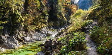 Ausflug mit Kindern - Themenschwerpunkt: Abenteuer - Mariazell - Naturpark Ötscher-Tormäuer