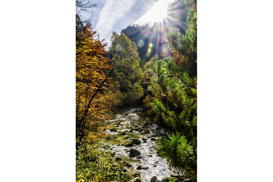 Ausflugsziel: Naturpark Ötscher-Tormäuer