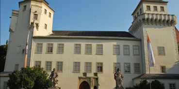 Ausflug mit Kindern - Preisniveau: günstig - Falkenstein (Falkenstein) - MAMUZ Schloss Asparn