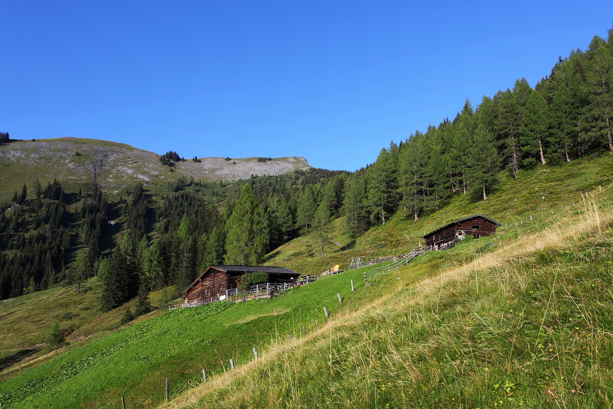 Ausflug mit Kindern - Ausflugsziel ist: ein Naturerlebnis - Scheffau am Tennengebirge - Karseggalm, 1.603m