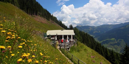 Reis met kinderen - Niedernsill - Viehhausalm, 1.640 m