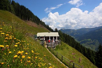 Ausflugsziel: Viehhausalm, 1.640 m