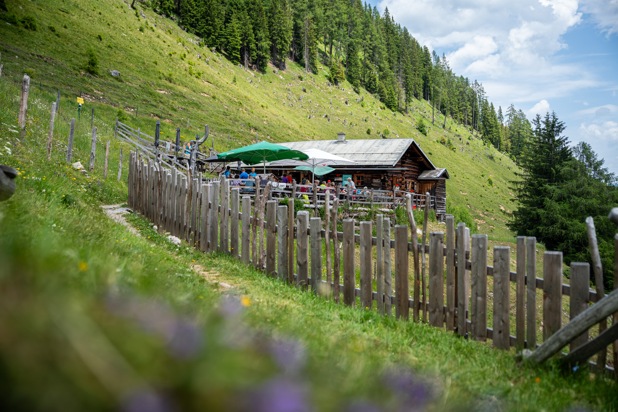 Ausflug mit Kindern - Großarltal - Viehhausalm, 1.640 m