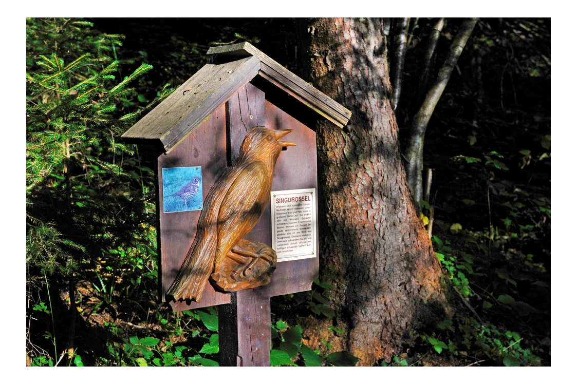 Ausflugsziel: Singdrossel Tafel Vogellehrpfad Hart im Zillertal - Vogellehrpfad Hart im Zillertal
