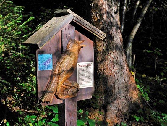 Ausflugsziel: Singdrossel Tafel Vogellehrpfad Hart im Zillertal - Vogellehrpfad Hart im Zillertal
