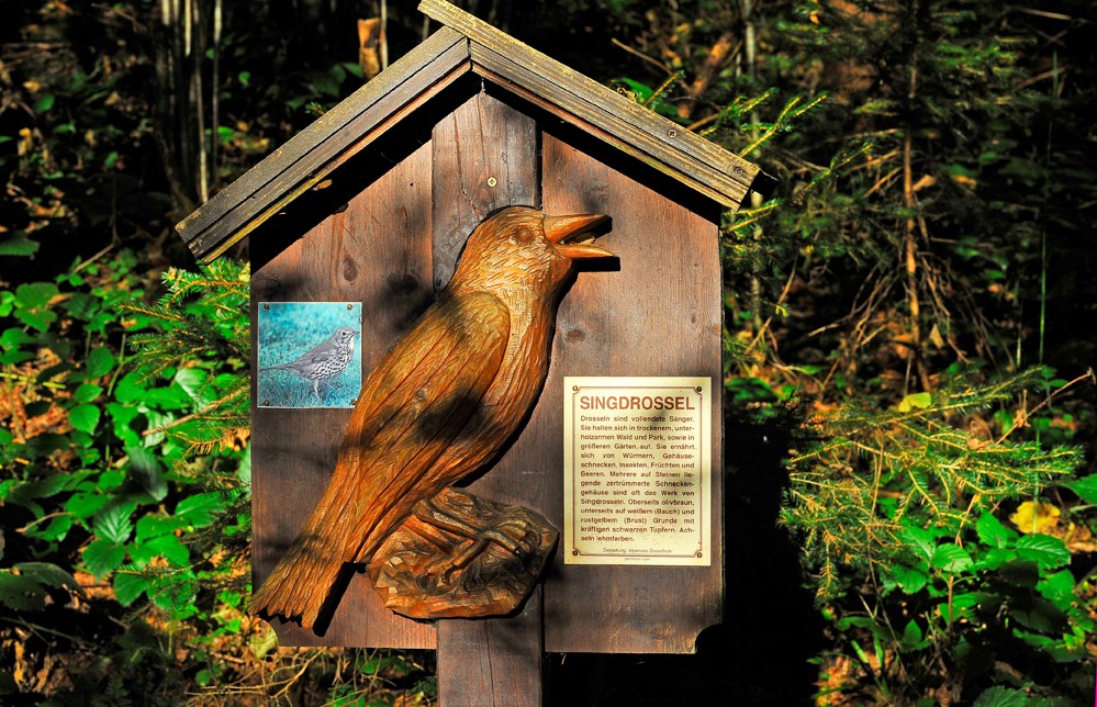 Ausflugsziel: Beschreibungstafel Vogellehrpfad Hart im Zillertal - Vogellehrpfad Hart im Zillertal