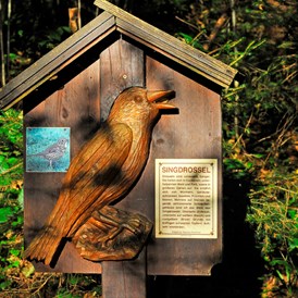 Ausflugsziel: Beschreibungstafel Vogellehrpfad Hart im Zillertal - Vogellehrpfad Hart im Zillertal