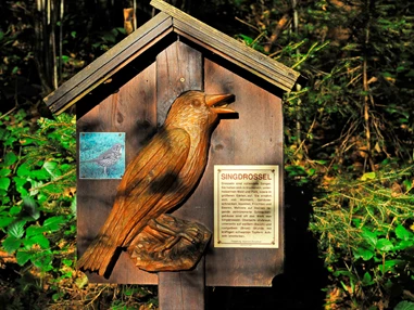 Ausflugsziel: Vogellehrpfad Hart im Zillertal