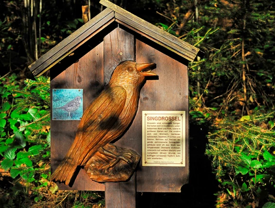 Ausflugsziel: Vogellehrpfad Hart im Zillertal