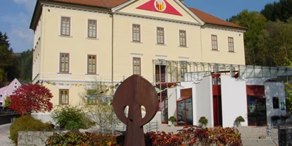 Reis met kinderen - Pöls - Heinrich Harrer Museum, Schaubergwerk, Mineralien, Puppenschau