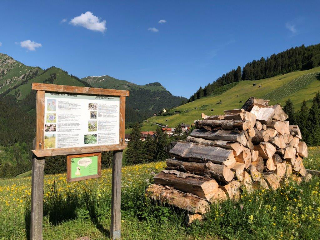 Ausflugsziel: Naturerlebnisweg Mitteregg