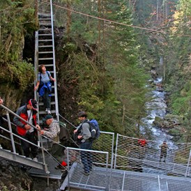 Ausflugsziel: der Steig setzt sich aus Stahltreppen und Aussichtsplattformen zusammen - Alpinsteig durch die Höll - Wilde Wasser