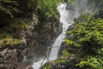 Ausflugsziel: Riesachfall - Alpinsteig durch die Höll - Wilde Wasser