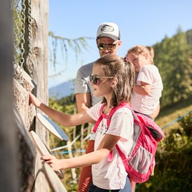 Ausflugsziel: Naturlehrweg mit Wissensstationen - Schlick 2000 - Wandervergnügen für die ganze Familie