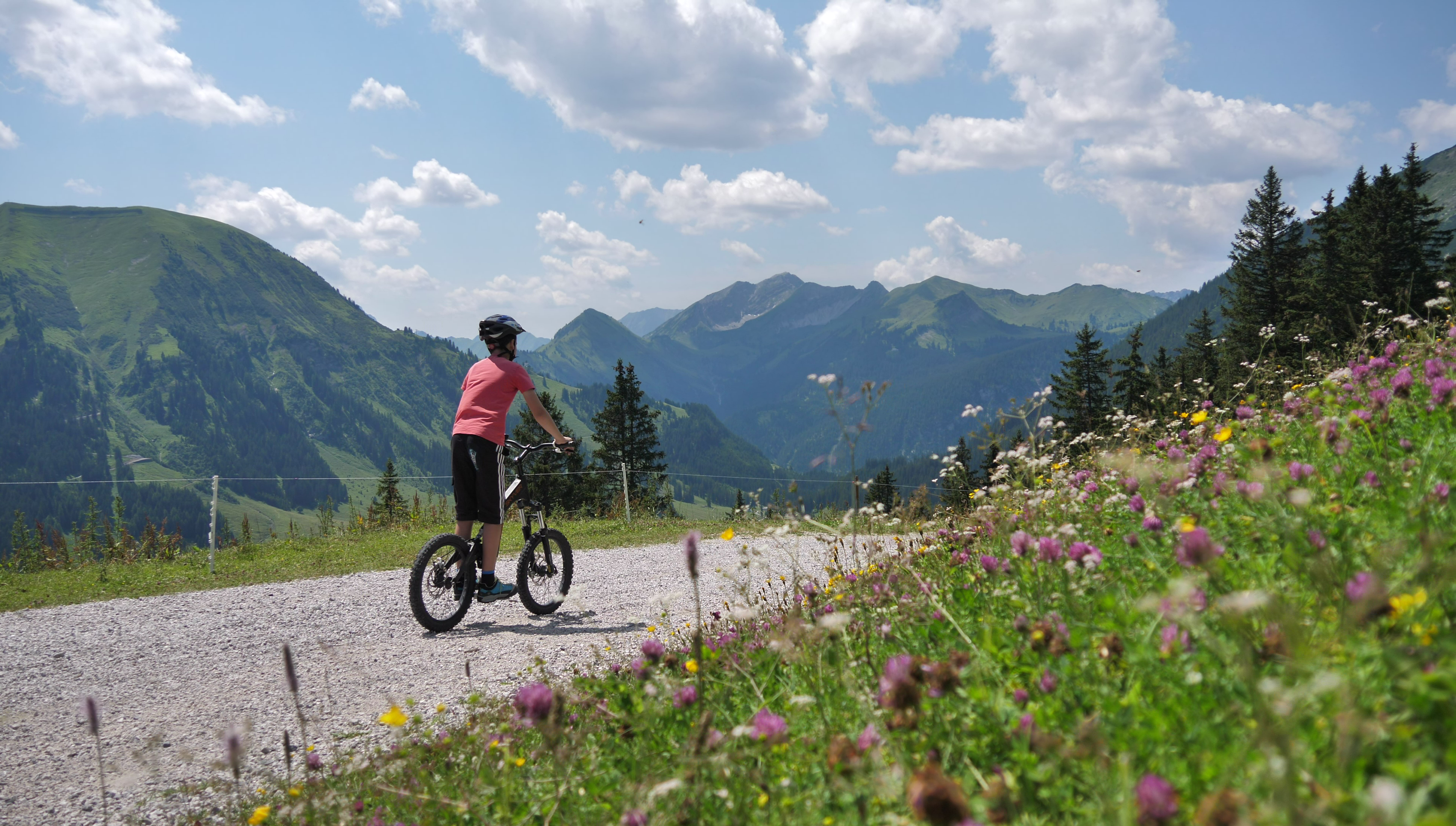 Ausflugsziel: Bergroller - Fahrt