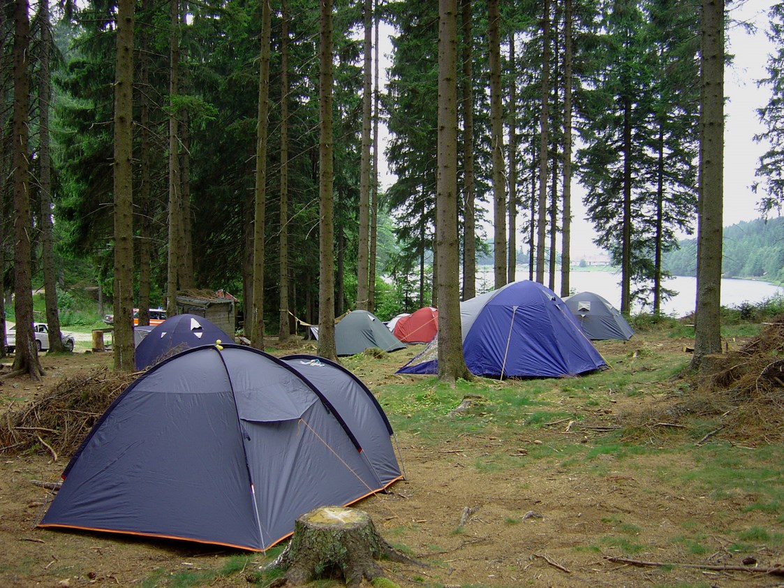 Ausflugsziel: Schattiger Bereich im Hochwald - Campingplatz Bärnkopf
