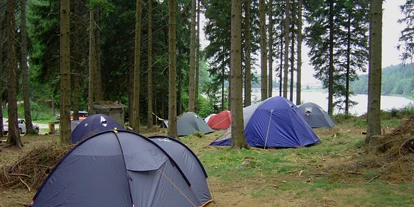 Reis met kinderen - Ybbs an der Donau - Schattiger Bereich im Hochwald - Campingplatz Bärnkopf
