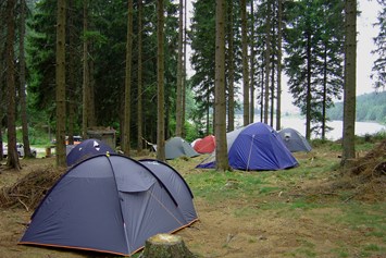 Ausflugsziel: Schattiger Bereich im Hochwald - Campingplatz Bärnkopf