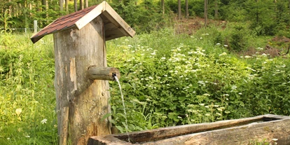 Reis met kinderen - Ybbs an der Donau - Quellbrunnen - Campingplatz Bärnkopf